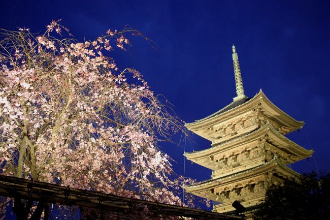 桜の開花の足音が聞こえ今年は例年より1週間ほど開花が早いというニュースもあり花見に京都に行くことにしました。桜がメインなのですが折角京都に行くこともありこれまで訪れた寺社で御朱印をもらわなかった先のご朱印をいただくことにしていましたが、観光客で京都はどこも人込みで御朱印も行列状態、２－３か所いただき断念しました。コロナも落ち着きつつある中、海外からの旅行者受け入れも始まり、海外からの観光客も御朱印ブームのようです。確かに拝観チケットとペアで旅行の記念になりますね。一方、市内のバスはメチャ混みで地元の方にとっては乗車できなかったり迷惑になっているようです。自分もその観光客の一人でしたので偉そうなこと言えません。この時期京都はどこに行っても桜が多く咲いており、また、枝垂れ桜が多いように思いました。桜と寺社仏閣の組み合わせはとても映えますね。良い思い出になりました。
