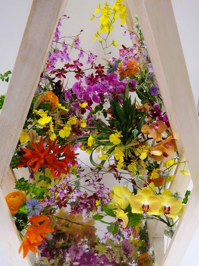 世界らん展－花と緑の祭典－（英名：Japan Grand Prix International Orchid and Flower Show）は、日本における大規模国際園芸展示会であり、代表的な蘭展。毎年1回、2月中旬から下旬の7&#12316;9日間、東京都文京区の東京ドームシティプリズムホールで開催される。<br />展示には洋蘭、東洋蘭（シュンラン、カンラン等）、日本の蘭（エビネ、セッコク等）など、世界約20ヶ国から約3000種10万株のラン科植物を中心に様々な植物が集まる。また会場内には100店以上の販売ブースが設けられ、植物の苗、切花、栽培用素材・器具、書籍、植物をモチーフとした雑貨、工芸品、化粧品、菓子などが販売される。<br /><br />世界らん展は旧イベントを継承しつつ現時点までに32回の開催実績がある、これは日本国内の国際蘭展としては沖縄国際洋蘭博覧会（35回）に次ぐ長い歴史である。日本の蘭展の歴史において重要な位置を占めている。初回以来開催規模は年々拡大し、1991年に6万株だった展示は13年後の2004年には10万株に達したが、それ以降の近年では整理縮小傾向が見られる。<br /><br />世界らん展－花と緑の祭典－（JGP2019&#12316;）<br />世界らん展日本大賞からの連続性を保持した上で展示内容の革新を図る後継イベントであり、引き続き東京ドームにて2019年から開催された。ラン科植物を主軸に据えながら他の多様な園芸植物にも門戸を開き、園芸展示会としての充実を目指す。　JGP2021&#12316;JGP2023は感染拡大防止の観点から東京ドームでの開催を断念したが、隣接するプリズムホールに会場を移して規模縮小開催とした（2022&#12316;2023は【部門1】と【部門4】）。<br />（フリー百科事典『ウィキペディア（Wikipedia）』）　より引用<br /><br />世界らん展2023　については・・<br />https://www.event-td.com/orchid/2023/<br /><br />世界らん展実行委員会（読売新聞社、ＮＨＫ、世界らん展組織委員会、東京ドーム）は2月8日(水）より14日(火)までの7日間、東京ドームシティ　プリズムホールにて「世界らん展2023‐花と緑の祭典‐」を開催いたします。<br />　今回は、計 100 万輪の花を会場内に集め、天井近くまで一面に蘭が広がる迫力溢れる展示と、一株で華やかな日本最高峰の蘭の展示の両面でお楽しみいただきます。開幕に先駆け、昨日 7日（火）に本年度の「日本大賞」を決定致しました。世界らん展日本大賞は日本中から蘭を一堂に集めて行われる世界最大級の蘭のコンテストで、最高賞である日本大賞の受賞者には賞金200万円が贈られます。出品総数517作品の中から厳正な審査を経て、今回の日本大賞に選ばれたのは、これまでに例を見ない大きさと丸いリップ(唇弁)、そして美しく展開の良い花弁を評価された、高橋昌美さんのパフィオペディラム エメラルド フューチャー ‘グリーン モンスター’です。<br />■講評　「世界らん展2022-花と緑の祭典-」審査委員長　江尻 宗一氏<br />蘭愛好家の中でも一際人気の高いパフィオぺディラムの中で、最新の交配により、丸く大きなリップ(唇弁)、展開の良い、透き通るような黄緑の花弁、各パーツの完成度の高さが評価のポイントです。<br /> <br />＜日本大賞審査部門　概要＞<br />洋蘭、東洋蘭、日本の蘭の「鉢物」「切り花」「葉芸物」を審査する部門<br />　出品作品を蘭の品種ごとに39のカテゴリーに分け、カテゴリーごとにブルーリボン賞(第1席)、レッドリボン賞(第2席)、ホワイトリボン賞(第3席)を選出。ブルーリボン賞の39作品に、トロフィー賞が授与される。さらにトロフィー賞の中から特に優れた上位18作品に部門賞が授与され、部門賞の中で最も優れた作品に授与される最優秀賞が栄えある「日本大賞」となる。「日本大賞」の賞金は200万円。<br />出品総数：全517作品＜洋蘭 416・東洋蘭41・日本の蘭60＞ 審査員数：合計71名（国内 71 名）<br />https://prtimes.jp/main/html/rd/p/000000128.000077656.html より引用