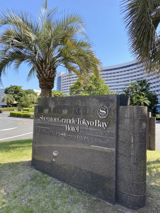 もともとは40周年ディズニーランドに行くためにシェラトンのポイントで宿泊しよう、と話していたけれど、6月にディズニーランドは行くことにしたのでシェラトンの宿泊を堪能することに。<br /><br />3月の長女の誕生日は同じ千葉県の金色風呂のある某有名ホテルに宿泊しましたが、これがなんとも・・・口直ししたいところでした。<br />GWなので舞浜あたりで渋滞にハマりましたが11時には到着。とりあえず、駐車場に車をおいてホテルの送迎バスに乗り舞浜駅へ。ランチは子どものリクエストがあり、イクスピアリのとんかつ和幸へ。ランチを終えたらディズニーストアで買い物をして、東京ディズニーリゾートウェルカムセンターでチェックイン。専用チェックインカウンターがホテルにありますがクローズと分かっていたため、こちらで、手配。<br />マリオットヴォンボイのプラチナメンバーシップの効力へ期待しておりましたがやはり、GW。何とか、コーナー最上階のお部屋とレイトチェックアウト13時をゲットとなりました。<br />実質、ポイントでの支払い。ベッド四つにしたかったので、ベッド代の支払い分とクラブラウンジ代で泊まりました。<br />お部屋にミチミチのベッドを想像していたので広いお部屋にアサインされてプラチナステータスを実感致しました<br />お部屋とクラブラウンジの内容をお送り致します。<br />