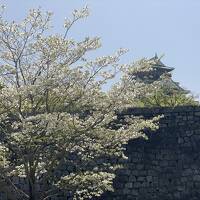 有馬温泉　北野異人館　大阪城　