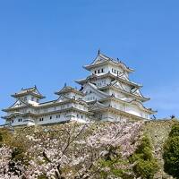 2023桜とお城を巡る旅（2）1日では見学しきれない姫路城