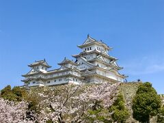 2023桜とお城を巡る旅（2）1日では見学しきれない姫路城
