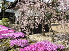 高山祭の翌日に飛騨へ列車旅 ①・・(飛騨古川編）