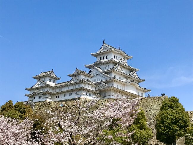 満開の桜に囲まれた姫路城へ。<br /><br />国宝(大小天守と渡櫓等8棟)<br />重要文化財(櫓・渡櫓27棟、門15棟、塀32棟)<br />特別史跡<br />ユネスコの世界遺産リストに登録