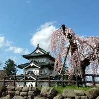 桜の開花を追って弘前へ