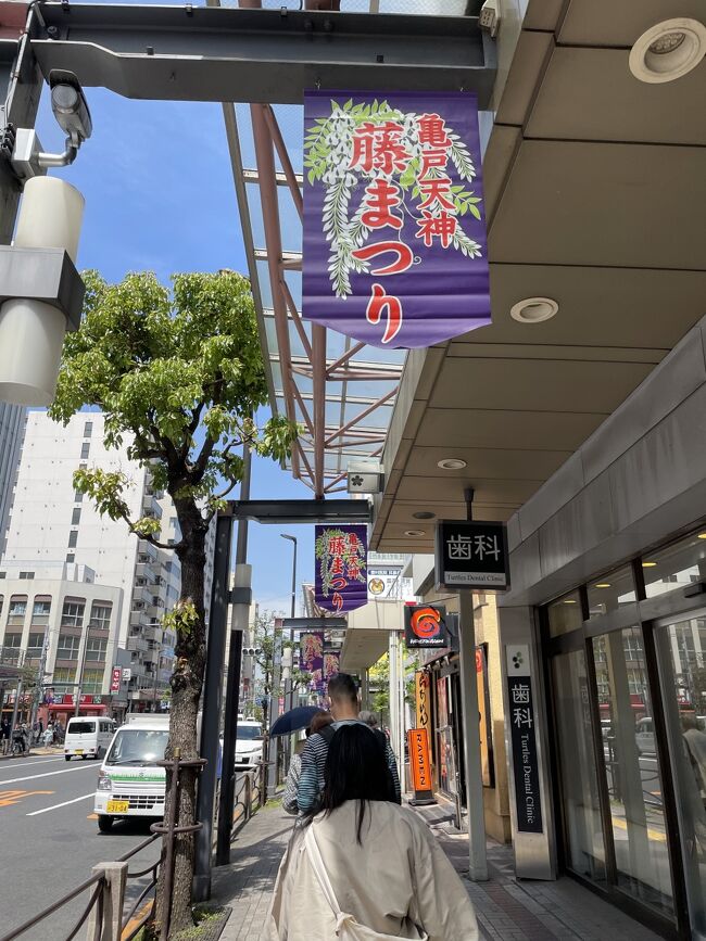 亀戸天神の藤が見頃になっているというので行ってきました。亀戸に行くなら大好きな亀戸ぎょうざもセットです(笑)。