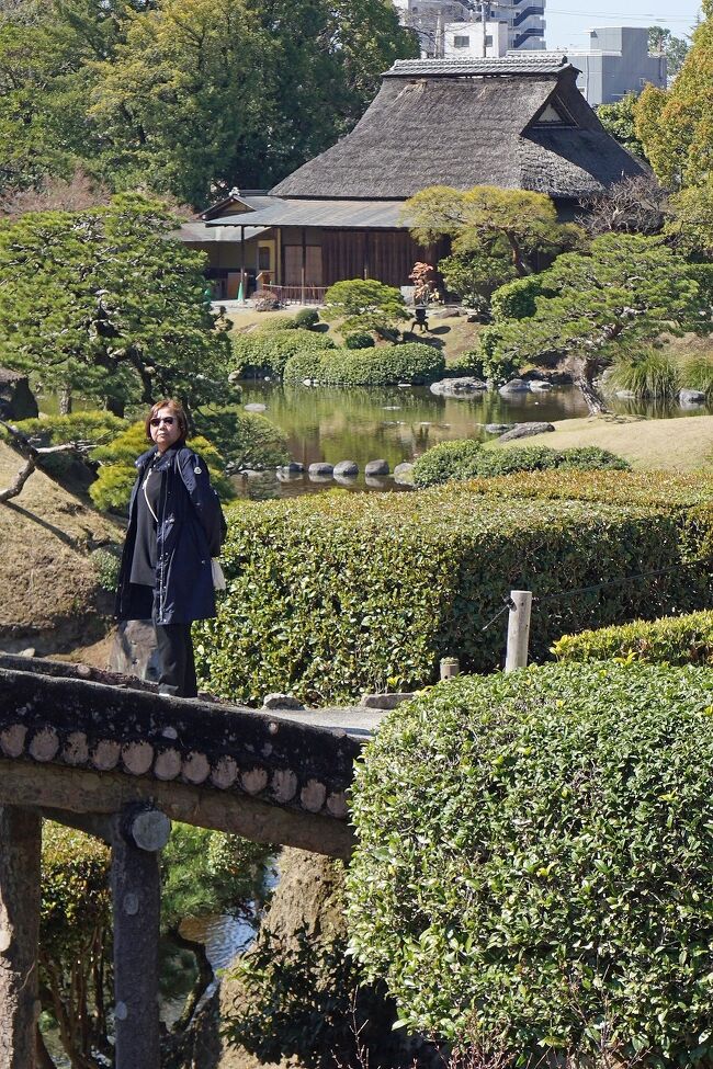 クラブツーリズム　阿蘇・熊本・天草うまいモン旅（6）水前寺成趣園を見学して熊本空港から阿蘇山と西日本の絶景を楽しみながら東京へ戻る。