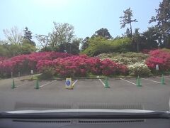 伊東へ… 2023.04.18　=1.二回目の小室山公園はツツジが綺麗でした(往路)=