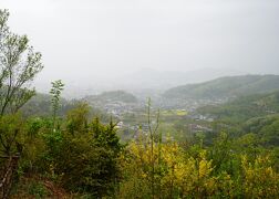 2023.4 三春の滝桜・花見山公園と福島7つの桜名所めぐり（1）