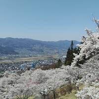 2023年4月3日から桜の名所たくさんの長野県で桜、桜、桜の旅(1日目)