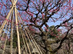 母の80歳誕生日旅行～金沢観光・山中温泉たわらや泊