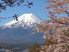 富士山と桜が一緒に見れる所をドライブ
