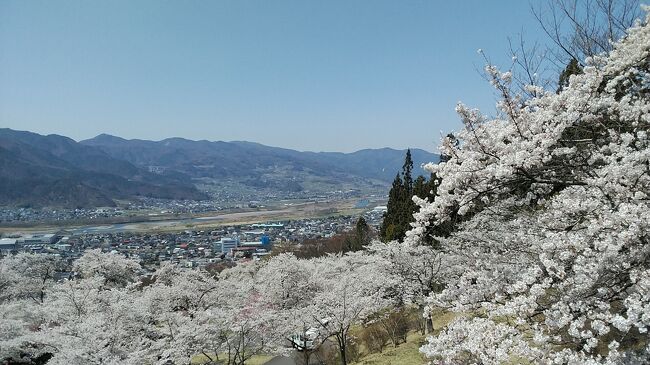 2023年4月3日から桜の名所たくさんの長野県で桜、桜、桜の旅(1日目)
