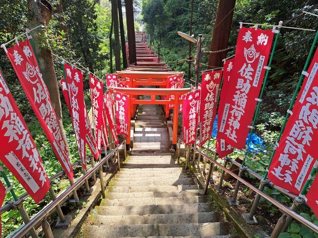 緑いっぱいの鎌倉。海のある鎌倉。平安時代からの神社仏閣。<br />自然と歴史、老舗の和菓子屋さんや沢山のおしゃれカフェ、地元の山海の幸を楽しめるレストラン。鎌倉の魅力は老若男女・国籍を問わず多くの人を惹きつける。<br /><br />今回は鎌倉五山の建長寺・円覚寺・浄妙寺を含むお寺と鎌倉宮や出世や金運神社も含む神社仏閣を巡り、ハイキングあり、旬の生しらすあり、聖地ドライブありの19のポイントを詰め込んだ欲張りルートをせっかちな自分は1日で巡ってみた。<br /><br />普段から足腰鍛えてる方だけど、山道、坂道、階段連続の鎌倉33000歩はさすがに激しい筋肉痛を経験。ただ、これでも鎌倉の本当に入口のさわりだけ。奥の深い鎌倉。魅力を再認識したので、これから数回通うことになると思われる。<br /><br /><br />自宅→<車>→銭洗弁財天駐車場→①化粧坂切通→②源頼朝像→③佐助稲荷神社→④銭洗弁財天 宇賀福神社→銭洗弁財天駐車場→<車>予約駐車場→<徒歩>→⑤鎌倉市農協連即売所→鎌倉駅→<電車>→北鎌倉駅→<徒歩>→⑥円覚寺→⑦明月院→⑧建長寺→⑨建長寺半僧坊→⑩天園ハイキングコース→覚園寺口→⑪鎌倉宮→⑫杉本寺→⑬浄妙寺→⑭報国寺→<バス>→八幡宮下車→<徒歩>→⑮段葛→⑯小町通→⑰四季菜(生しらす丼)→⑱おいもカフェ 金糸雀(おいもパフェ)→鎌倉市農協連即売→予約駐車場→<車>→<⑲江ノ電沿いドライブ>長谷→由比ヶ浜→稲村ケ崎→鎌倉高校前駅→帰宅<br />