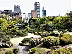 神戸市立相楽園のツツジを鑑賞します！