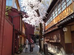 金沢に春がやってきた。バスと徒歩で市内散策、時々B級グルメ。