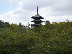 遅咲きの御室桜を観に外国人観光客で賑わう仁和寺と臨済宗妙心寺へ☆アゴーラ烏丸素泊まり