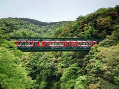 塔ノ沢温泉の旅行記