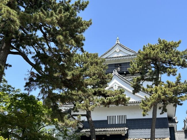 正月以来の久しぶりの東海道歩きです。<br />今回は愛知県の藤川宿から岡崎宿を歩きました。<br />大河ドラマ「どうする家康」の岡崎城公園内にあるドラマ資料館に立ち寄ってみたかったので、このコースを選びました。<br />新緑が眩しくウォーキング日和でした。