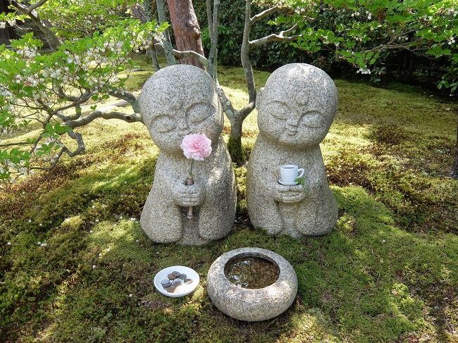 妙心寺の塔頭、大雄院、桂春院、大法院へ行って来ました。