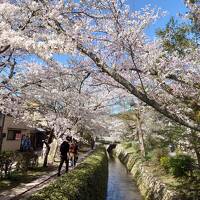 春爛漫　人、人、人だらけの桜満開の京都　今年の桜は早かった　①哲学の道、十石舟、南禅寺～清水寺