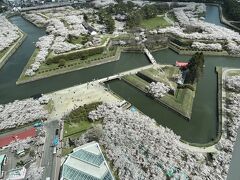 ⑧春爛漫　マダムの北海道の５つのお花見と2つの名湯　２日目の２　五稜郭タワー・五稜郭