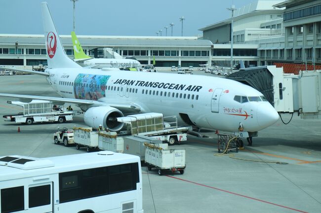 今回も全国旅行支援を利用し、沖縄にやってきました。<br />JALのマイルを貯めるため、新千歳空港と那覇空港間の往路は少しでも距離の長い羽田空港経由を予約し、帰りはプライオリティパスが使える関空経由をチョイスした。<br />3月になると那覇の日中の最高気温は、25度を超え、この時期未だ除雪が必要な札幌と比べると身体にも負担が少なく過ごしやすい。<br />今回も沖縄独特のグルメ「沖縄そば」を堪能した。<br />