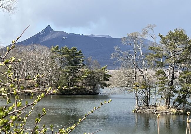 　2023年4月23日（日）～25日（火）阪急トラピックス主催「春爛漫！5つの桜名所を巡る湯の川温泉、登別温泉2つの名湯で過ごす北海道お花見　温泉3日間」に参加しました。もともと、その日、弘前の桜を見るツアーを申し込んでいました。昨年、同じ時期、大変美しく素晴らしかったので、今年も見たいと。でも、今年は桜の開花が、早く、昨年よりもっと早く、早すぎて、花筏にすら間に合わなそう。それで、行く先を北に変更し、見られるかも？に期待して行ってきました。大正解！あちこちで桜を満喫することができ、温泉も楽しむことができました。①②③・・は旅行記の番号、あいう・・は、、5つの桜名所です。①～⑭までありますので、興味のある所だけでもご覧いただければ幸いです。主な旅程は次の通りです。<br />　2023年4月23日（日）旅行1日目　自宅・・自宅最寄りのバス停＝リムジ　<br />　ンバスにて羽田空港　13：05発ANA555便～14：25函館空港①＝トラピ　<br />　スチヌ修道院あ②＝北斗桜回廊（法亀寺）い③＝湯の川温泉　湯の川観光<br />　ホテル祥苑泊④⑤<br />24日（月）2日目　ホテル⑥＝函館朝市＝函館八幡宮う⑦＝五稜郭公園え⑧<br />　＝松前藩戸切地陣屋跡お⑨＝大沼国定公園＝サイロ展望台＝昭和新山⑩＝<br />　登別温泉　石水亭泊⑪⑫<br />25日（火）3日目　ホテル⑬＝支笏湖＝新千歳空港　13：30発ANA064便～<br />　15：10羽田空港　リムジンバスにて＝自宅最寄りのバス停・・自宅＝娘宅　<br />　⑭