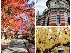 麗しの秋の日に、毘沙門堂の散り紅葉と西本願寺の大銀杏  