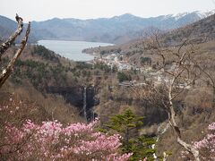 アカヤシオと山桜の咲く春の中禅寺湖ハイキング