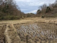 戸塚区舞岡町から港南区にかけて広がる自然公園。 四季折々に木々が生い茂り、水辺・畑や森がそのまま残されているのもすごいです。