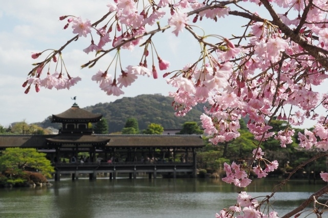 ■醍醐寺<br />https://www.daigoji.or.jp/<br /><br />■喫茶マリ亞ンヌ<br />https://tabelog.com/kyoto/A2601/A260603/26009773/<br /><br />■中立売休憩所<br />https://nakadachiuri.jp/<br /><br />■本家月餅屋直正<br />https://tabelog.com/kyoto/A2601/A260202/26002393/<br /><br />■ホーフベッカライ エーデッガー・タックス<br />https://edegger-tax.jp/?v=24d22e03afb2<br /><br />■平安神宮<br />http://www.heianjingu.or.jp/