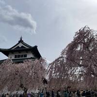 桜を追いかけて、東北へ。初めて姉と行く旅、中編。