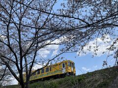 桜を追いかけて、東北へ。初めて姉と行く旅、後編。