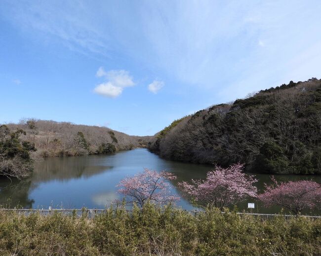 　茨城県水郷県民の森主催の自然観察会があり、参加してきました。<br /><br />表紙写真は、茨城県水郷県民の森の中にある大膳池の風景です。<br />