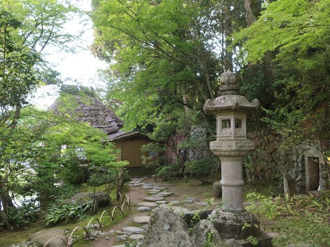 網走から帰ってきたばかりなのに・・・<br />今週は松山へ飛んじゃいます。<br />ＪＡＬスマイルキャンペーンで<br />片道６６００円のチケットが取れたので・・・<br /><br />本当なら奄美あたりを狙っていましたが<br />日程的にも１泊では厳しそうだし、<br />セールじゃ発売開始時間でのチケット争奪戦に参戦しないといけないし・・・<br /><br />ということで争奪戦には参戦せずに<br />翌日、ＪＡＬのサイトを見てみると<br />意外といろいろなところがセールで取れそう。<br /><br />じゃどこに行こう？<br />そういえば松山三越が改装されてから行ってないし<br />１０年ぶりに行ってみましょう！<br /><br />その三越内には「HOTEL LEPO CHAHAL」があります。<br />サイトで部屋を見るといい感じ！<br />でポッチっと・・・<br />でもよく見てみると部屋にはサウナもあるけど<br />温泉はありません。系列ホテルの温泉は使えるけど<br />道後までの往復が・・・(&gt;_&lt;)<br /><br />やっぱり道後温泉に泊まりますか・・・<br />前回は道後温泉の純和風＋モダンの旅館に泊まりましたが<br />今回はガラッと変えて<br />道後にありながらなぜか英国がコンセプトの<br />「オールドイングランド道後山の手ホテル」を予約。<br />温泉とフレンチを楽しんできましょう。<br /><br />松山市内は前回見たので今回は2つのデパートだけ。<br />それだけじゃもったいないので<br />JR四国の「内子・大洲町並散策1日パス」を使って<br />城下町も楽しんできましょう！