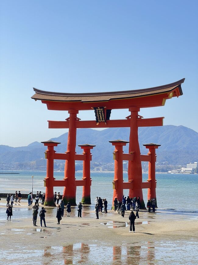 春の宮島と路面電車で広島市内を巡りました。<br />厳島神社の鳥居の工事が終わったので、原爆ドームと広島城<br /><br />1日目<br />宮島～厳島神社<br /><br />2日目<br />原爆ドーム<br />平和記念公園<br />呉<br /><br />3日目<br />広島城<br /><br />広電で市内を巡りながら、広島のグルメを楽しみました～