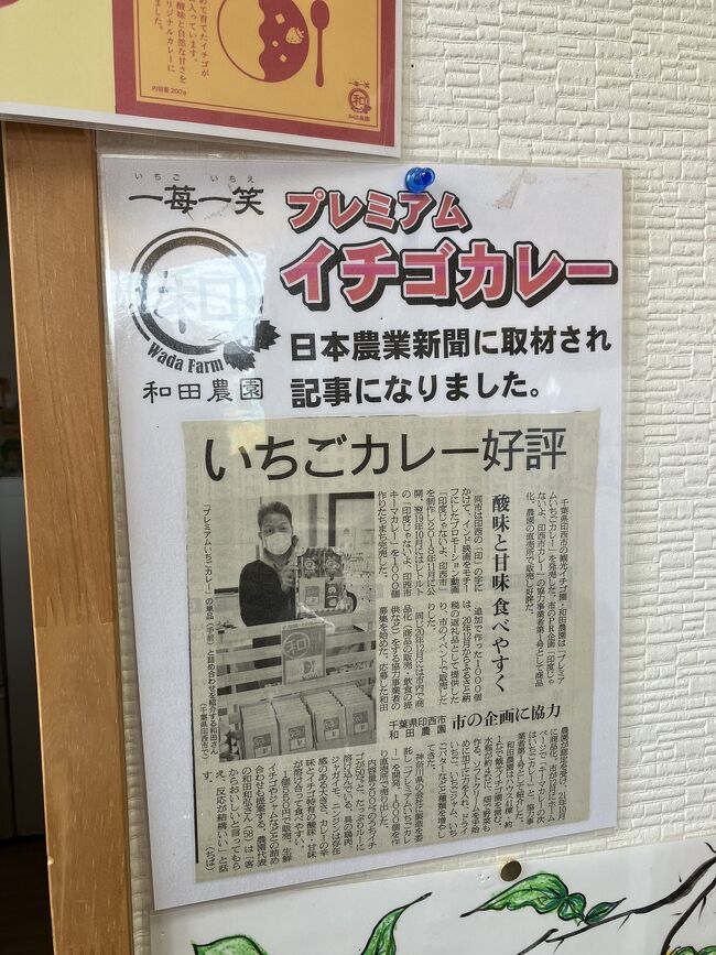 昨年夏にメロンソフトで感動した和田農園さんは元々いちご農家。ちょうどハイシーズンとのことでいちご狩りに行って来ました。<br /><br />写真はいちご狩りに行くと先着でいちごカレーが無料で食べられるという新聞記事。