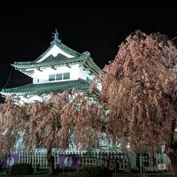 【2023JGC修行】私は青森で花見をする。弘前城で、岩木山麓で、芦野公園で、浪岡城址で