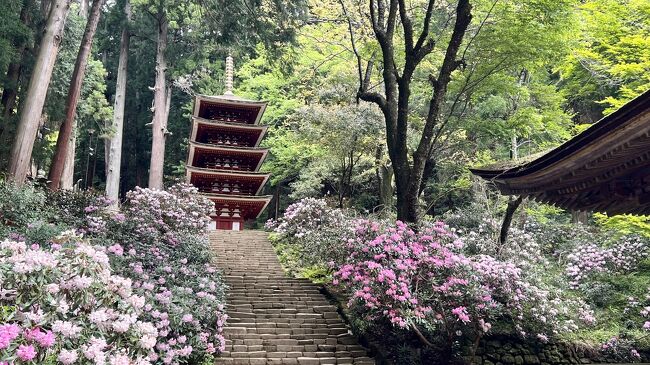 室生寺、長谷寺、大神神社をめぐる旅