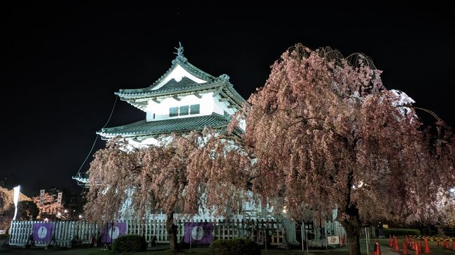 前回のあらすじ：弘前城の桜を見たくて航空券を予約してましたが、令和5年は記録的な早咲きとなり当初予定していた旅程では弘前城のソメイヨシノの満開は終わってしまうことが発覚。そのため高速バスを使い一週間早く弘前城の桜を見に行きました。「死ぬまでに一度は見たい」といわれる圧巻の桜を満喫できた旅になりました。それが下記の旅行記になります。<br />「【2023弘前さくらまつり】弘前城の桜を何が何でも見に行く強行旅」<br />https://4travel.jp/travelogue/11821915<br /><br />今回のあらすじ：当初の旅程は残しておいたのですが、弘前城のソメイヨシノが終わってしまった以上、ノープランでしたので旅行中に色々予定を変更しました。そのため様々なミスが生じましたが結果として桜あり温泉ありの津軽地方を満喫する大満足の旅行になりました。<br /><br />4月21日 羽田空港～大館能代空港～弘前城～弘前泊<br />　  22日 世界一の桜並木～桜林公園～岩木山神社～リゾートしらかみ～大館(大滝温泉)泊<br />　  23日 大鰐～陸上自衛隊弘前駐屯地～津軽鉄道～芦野公園（金木さくらまつり)～青森市泊<br />　  24日 岳温泉～高岡の森弘前藩歴史館～百沢温泉～浪岡城址～青森空港～羽田空港