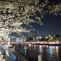 【2023 奈良&大阪花見旅 3】奈良から大阪西成へ…京橋で一杯、そして天満橋の夜桜見物