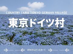 千葉駅から高速バスで東京ドイツ村に行ってみた！ネモフィラ満開！《花畑・アトラクション編》