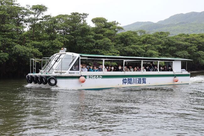 朝８:３０出発、ユーグレナ石垣港離島ターミナルより西表島の大原港まで行く八重山観光フェリーに乗船。乗船時間は50分。大原港ですぐ別の船に乗り換えて仲間川マングローブクルーズに出掛けました。