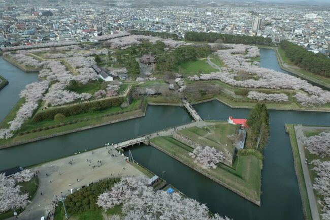 男鹿半島のなまはげ・東北・北海道の桜を観てみたかったのです。<br />念願かなって今年は行けそう・・なのですが・・<br />例年以上に桜の開花が早い。<br />開花情報をチェックしてると開花がどんどん早くなる。<br />当初の予定より一週間前倒しで、急遽 秋田~青森~函館を廻ってみた <br />ひとり旅記録です。<br /><br />メジャーな観光地は訪日外国人の方々、元通りのレベルに戻って来てました。<br />それでもまだ、中国本土の方はいないらしいので・・これから先はマイナー所を旅するのが良いかな・・と思うけど<br /> <br />政府が訪日観光客を全国に分散してもらう策提案してますよね・・ホテル代は急騰してるし・・今後の旅は・・頭使わなきゃですっ。<br /><br />1日目・・秋田空港~秋田駅~角館~秋田駅 ホテルメトロポリタン秋田泊 <br />2日目・・レンタカーで男鹿半島菜の花と桜ロード・なまはげ館・ゴジラ岩<br />3日目・・リゾートしらかみで秋田~五所川原 津軽鉄道で芦野公園の桜 ホテルサンルート五所川原泊 <br />4日目・・弘前のアップルパイと弘前城の桜・弘南鉄道 弘前パークホテル泊 <br />5日目・・新幹線で函館・五稜郭の満開の桜・六花亭 湯の川温泉 花びしホテル泊 <br />6日目・・函館を散策~函館空港~帰路