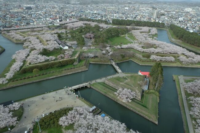 満開の五稜郭・タワー～湯の川温泉・開花の早すぎる桜に間に合うの？2023.4秋田・青森・函館ひとり旅5泊6日⑩日目５日目午後