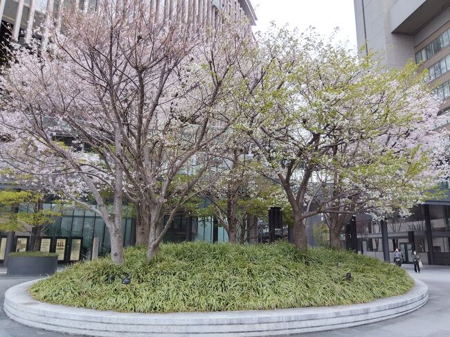 桜の季節のミナミと大阪駅周辺、舞州海浜公園街歩きの記録です。
