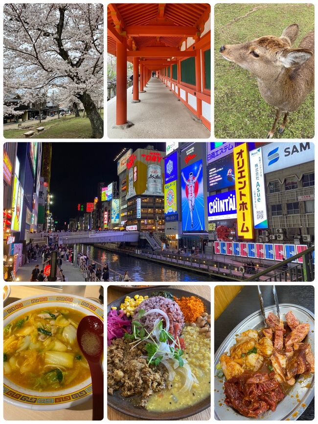 大阪1泊弾丸旅。今回はほぼ初の奈良にも行ってみた(^O^)　何十年も前に通りついでに観光したくらいで大仏もあまり覚えていなかった。<br />改めて観る大仏や、ナラシカ、春日大社に奈良公園。商店街も多く楽しい街でした(≧▽≦)　大阪もお気に入りのお店を廻りたくさん食べまくってきました。