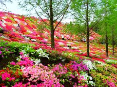 大村・波佐見・長崎空港の旅行記