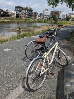 2023春　⑩【京都】自転車で散策　下鴨神社・上賀茂神社・金閣寺